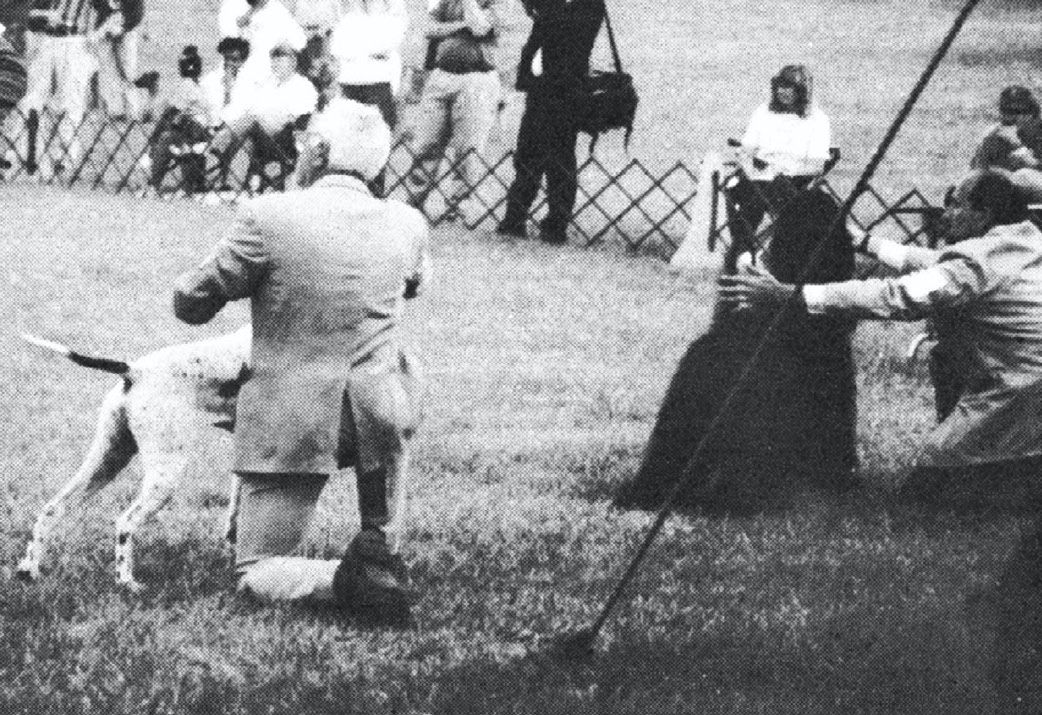 Cherry Blossom Circuit, 1996